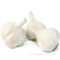 Fresh Top Class 5.5 cm White Garlic